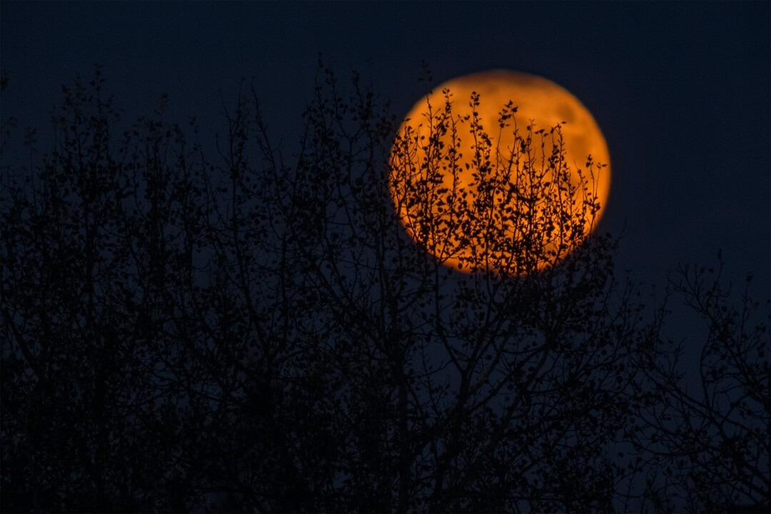 Orange moon in black sky