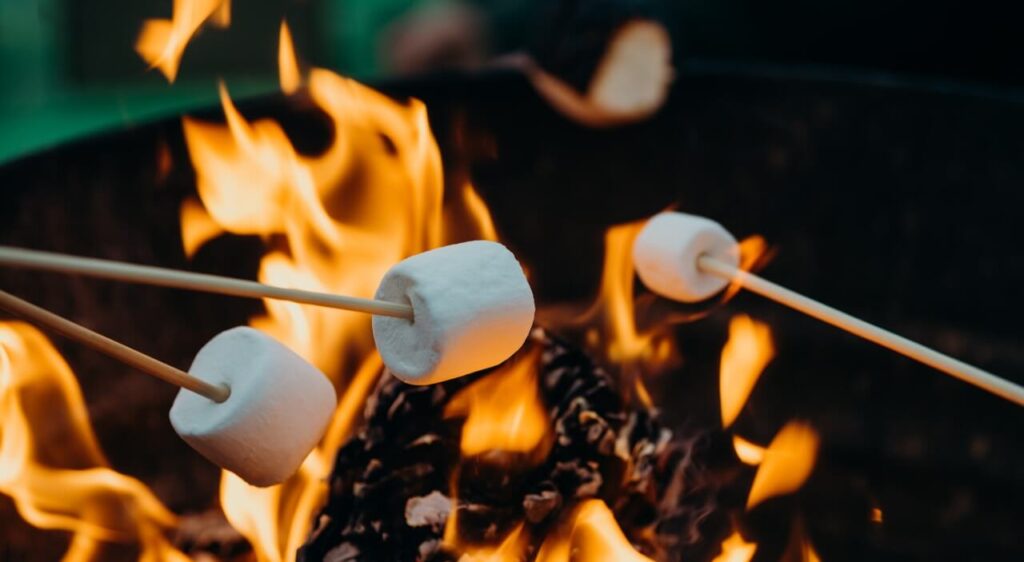 Marshmallows on the campfire